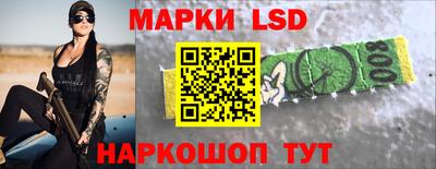 шишки Нарткала
