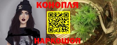 шишки Нарткала