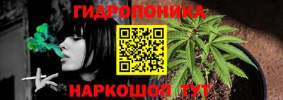 шишки Нарткала