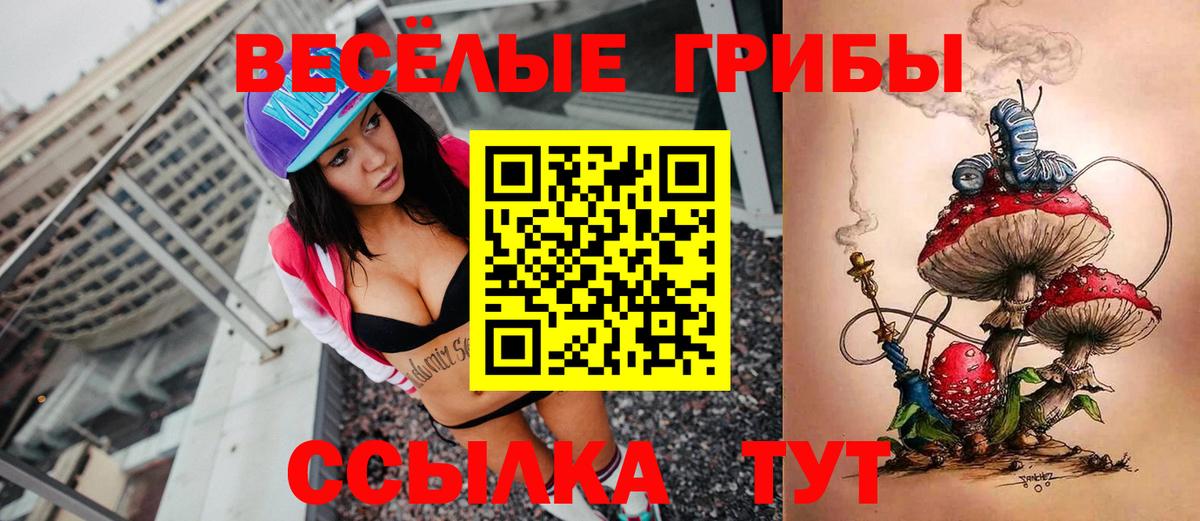Галлюциногенные грибы MAGIC MUSHROOMS  Галлюциногенные грибы Magic Shrooms  Уссурийск  купить наркоту  Вход с VPN 
